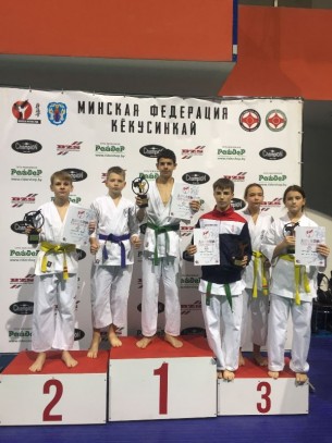 Чемпионы на татами. Ребята из Ошмян приняли участие в турнире по каратэ кекусинкай в Минске