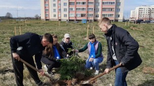 Общественные объединения на Ошмянщине приняли участие в посадке аллей