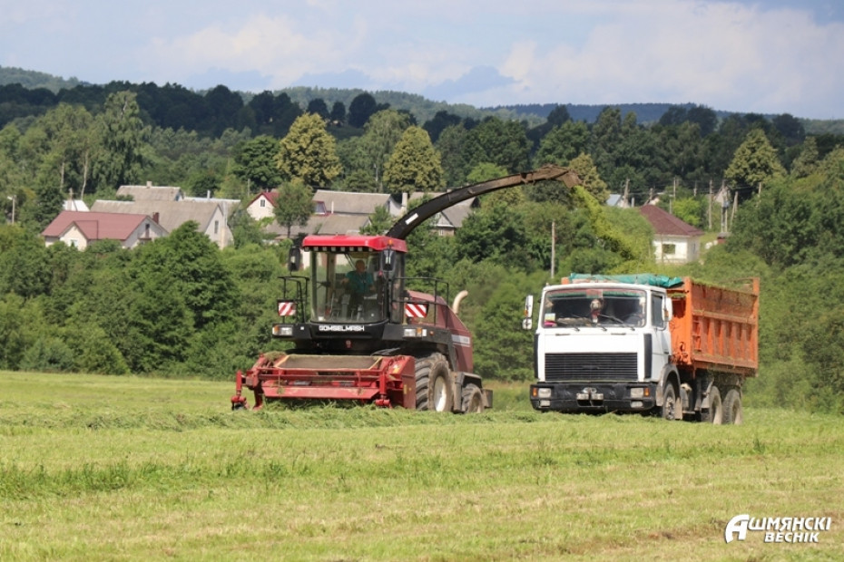 Полевые работы на Ошмянщине, пока зерновые дозревают, сосредоточены на уборке зеленых кормов